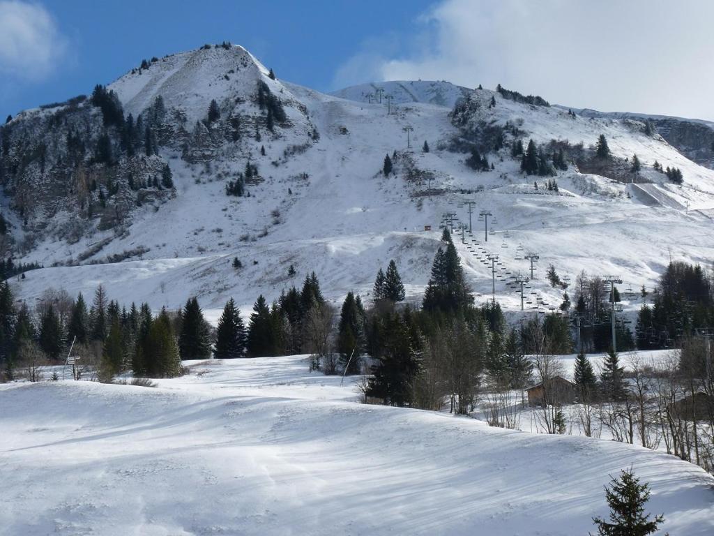 Apartmán Les Amborzales Le Grand-Bornand Exteriér fotografie
